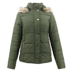 Winter Jacket Women Faux Fur Collar Long Sleeve Coat Autumn Casual Green Plain Hoody Long Puffer Jacket Women