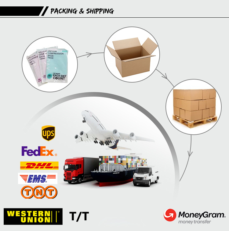 Nylon Waterproof Padded Down Bomber Fashion Sport Custom Logo Winter Tactical Sky Sports Ladies Blazers Cotton Waterproof Jacket